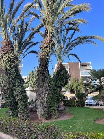 Appartement De Haut Standing En Residence Agadir Luaran gambar