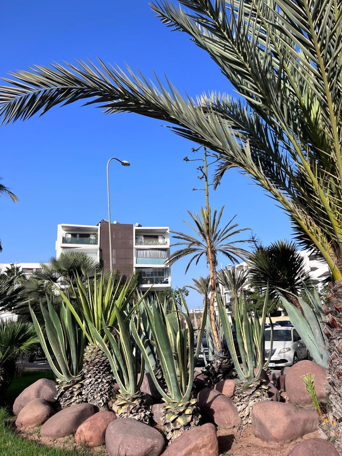 Appartement De Haut Standing En Residence Agadir Luaran gambar